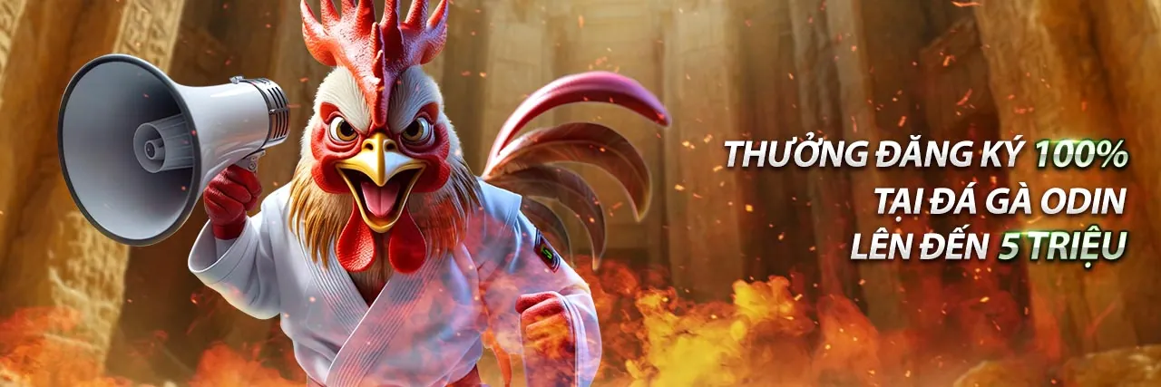 Chương trình hoàn trả tiền cược hàng tuần tại 1133win